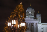 Der Weihnachtsmarkt auf dem Senatsplatz in Helsinki sorgt für besinnliche Atmosphäre.