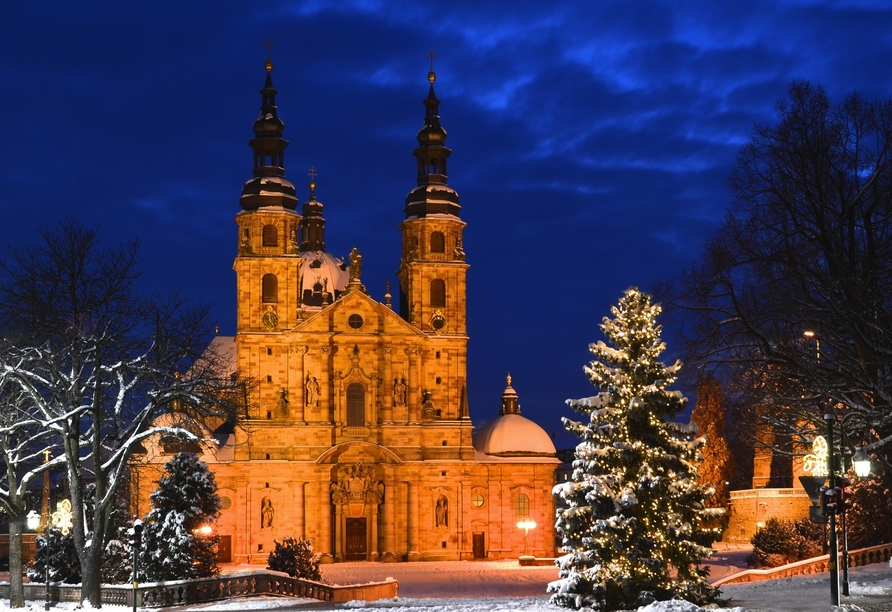 Der Fuldaer Dom im Winter mit Schnee und Weihnachtsbaum bei Nacht