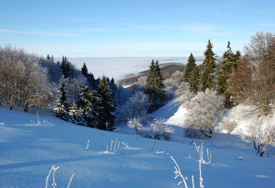 Der Ausblick über die Landschaft der Rhön ist auch im Winter atemberaubend.