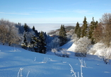 Der Ausblick über die Landschaft der Rhön ist auch im Winter atemberaubend.