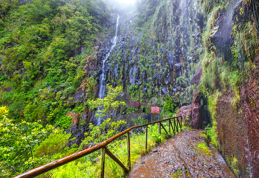 Wandern Sie auf Madeira entlang der von Grün umsäumten Levadas.