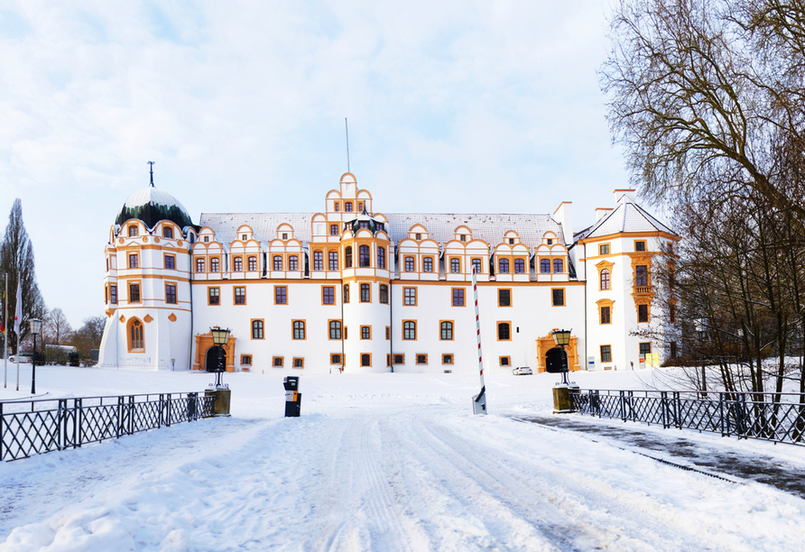 Das winterliche Schloss Celle begeistert mit seinem historischen Charme.