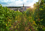 Von den Weinbergen in Rüdesheim aus können Sie den schönen Blick auf die Stadt genießen.