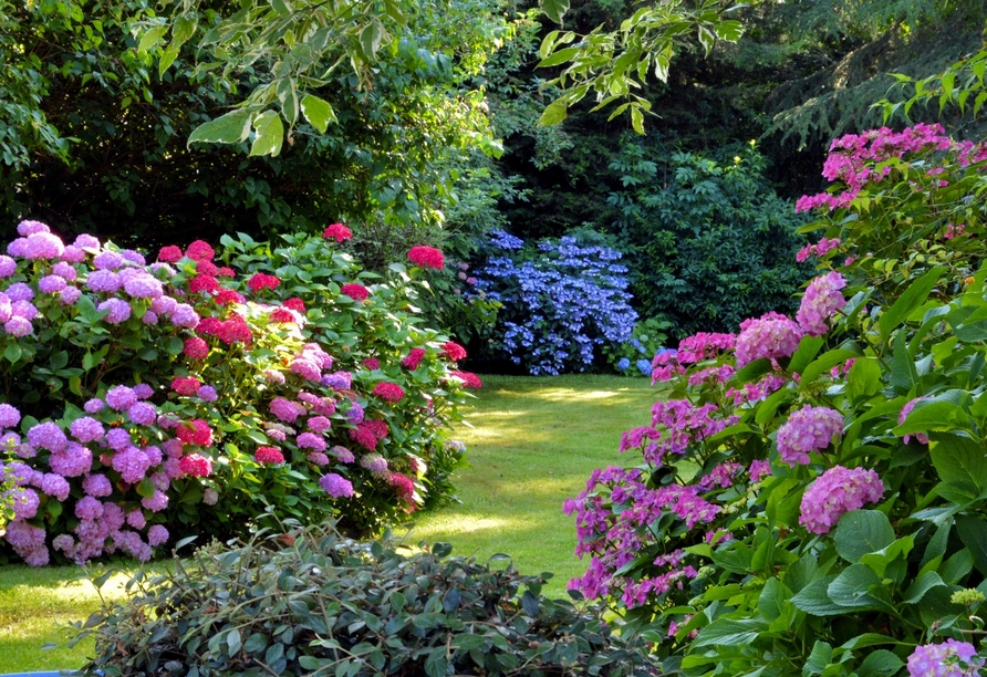 Nehmen Sie auf der BUGA tolle Ideen für einen hübsch gestalteten Garten mit nach Hause.