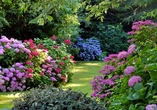 Nehmen Sie auf der BUGA tolle Ideen für einen hübsch gestalteten Garten mit nach Hause.