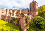 Besuchen Sie das nahegelegene Schloss Heidelberg.