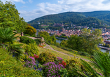 Der Garten des Philosophenweges hält wunderschöne Pflanzen und Ausblicke für Sie bereit.