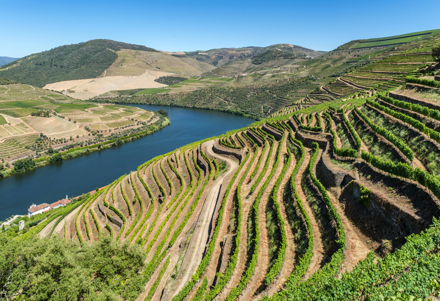 Das Douro-Tal zählt nicht nur zu den landschaftlich schönsten Regionen Portugals, es beherbergt auch das älteste Weinanbaugebiet der Welt. 