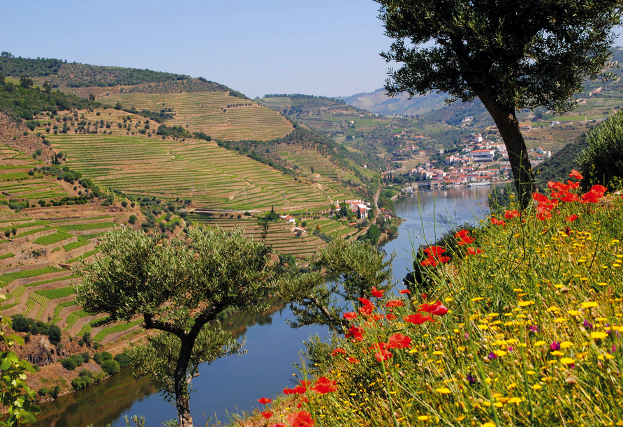 Das einzigartige Flair des eindrucksvollen Douro-Tals wird Sie begeistern! 