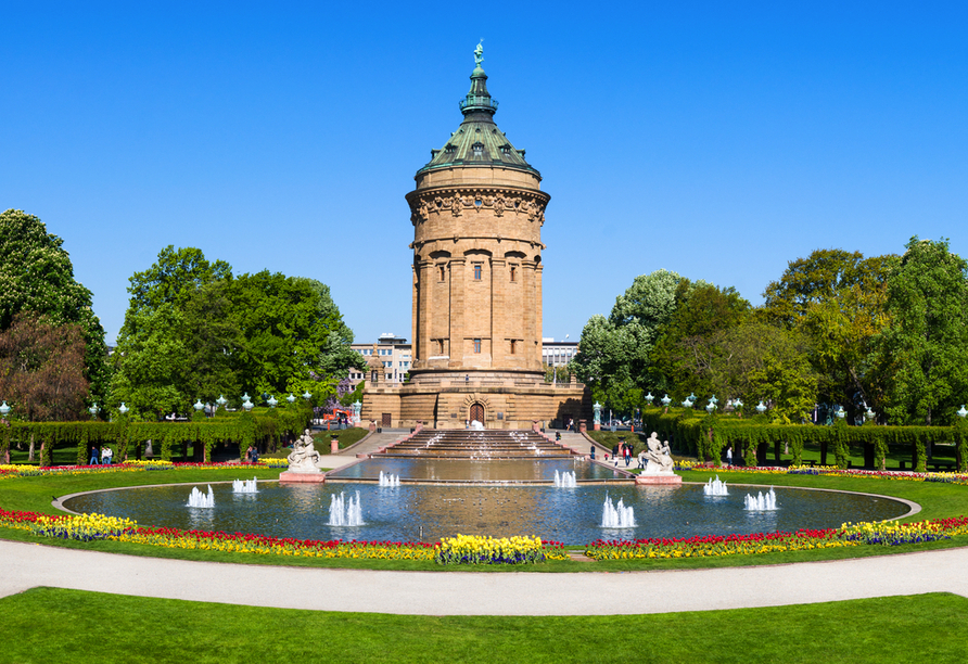 2023 findet in Mannheim die BUGA statt und auch rund um den Wasserturm erblüht die Stadt.