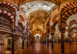 Der berühmte Innenraum der Mezquita in Córdoba