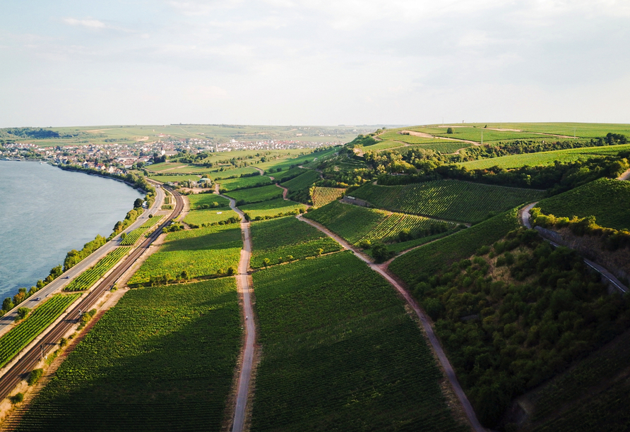 Nierstein und die Region Rheinhessen sind bekannt für den Weinanbau und bieten herrliche Panoramaaussichten.
