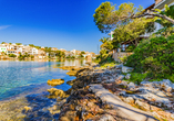 Freuen Sie sich auf traumhafte Buchten und Orte wie Portopetro.