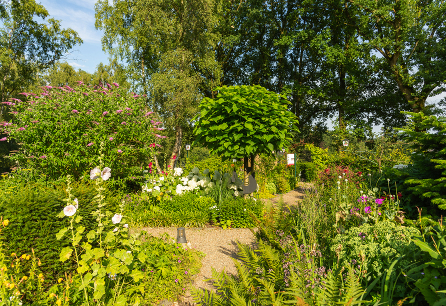 Gartenanlage des Berghotels Hohe Mark