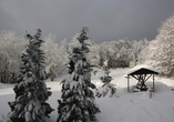 Besuchen SIe den Harz im Winter und bestaunen die glitzernde Landschaft.