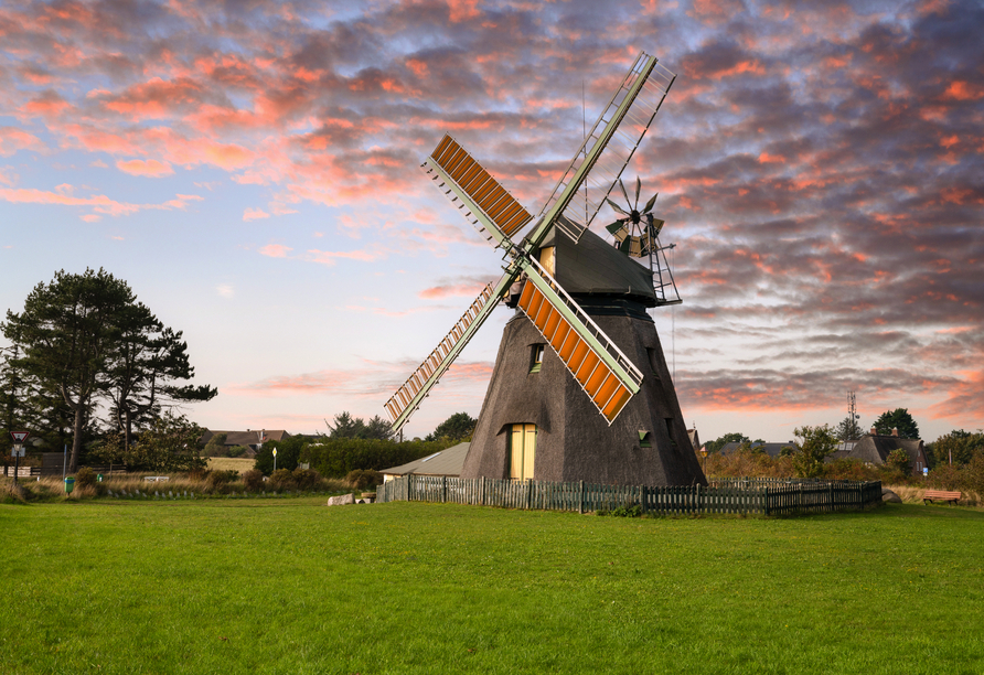Die historische Windmühle 