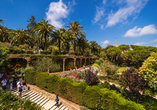 Wundervolle Natur im Parc Güell