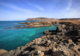 Die Insel Boa Vista