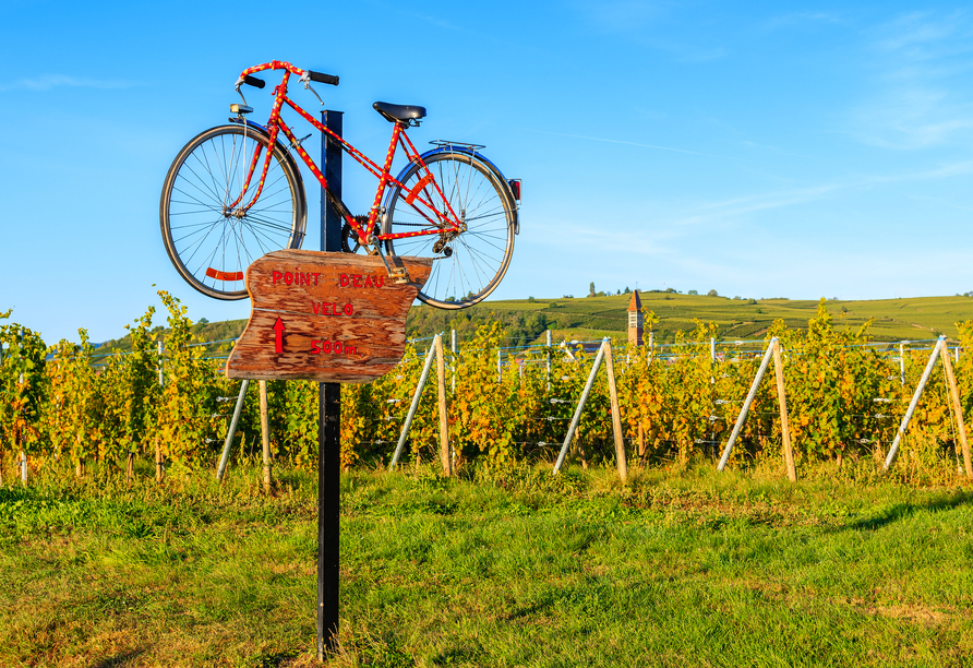 Das Elsass ist als Fahrrad- und Weinregion bekannt.