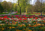 Ein Blumenmeer grenzt bei der BUGA an das nächste.