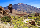 Der Nationalpark El Teide ist nicht weit vom Hotel entfernt und bietet eine außergewöhnliche Kulisse.