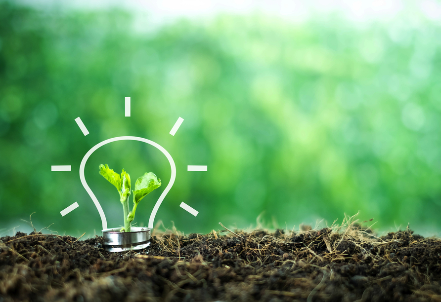 Wussten Sie, dass sich Ihr Urlaubsort besonders für Nachhaltigkeit und sanften Tourismus einsetzt?