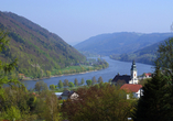 MS VIVA TWO, Engelhartszell
