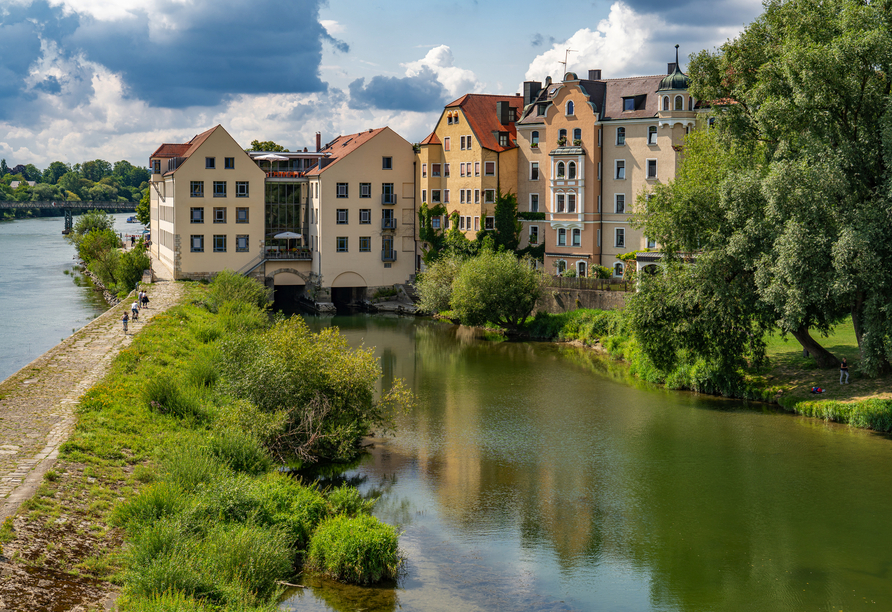 Naturnahe Erholung an der Donau in Regensburg