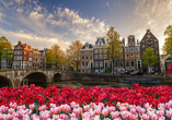 Auch in der Innenstadt von Amsterdam erwartet Sie im Frühling eine bunte Blumenpracht.