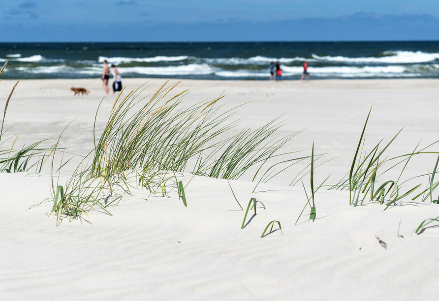 Freuen Sie sich auf die breiten und langen Sandstrände an der Ostseeküste