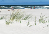Freuen Sie sich auf die breiten und langen Sandstrände an der Ostseeküste