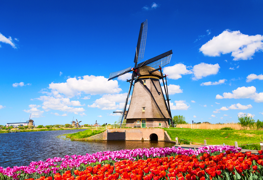 Die farbenfrohen Tulpenfelder in den Niederlanden werden Sie begeistern.