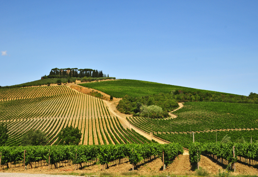 Genießen Sie den herrlichen Blick über das Weinanbaugebiet Chianti.
