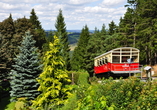 Eine Fahrt mit der Oberweißbacher Bergbahn ist ein unvergessliches Erlebnis.