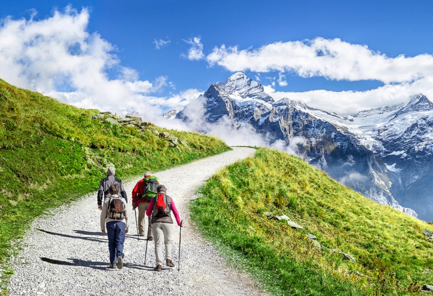 Eine Wanderung ist eine ideale Möglichkeit, die Umgebung zu erkunden.
