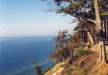 Die Steilküste an der Ostsee bildet ein beeindruckendes Panorama.