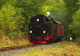 Wie wäre es mit einer nostalgischen Dampflokfahrt durch das romantische Selketal mit der Harzer Schmalspurbahn?