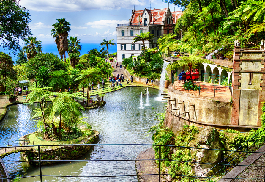 Madeira ist auch als Blumeninsel bekannt und macht ihrem Namen im Botanischen Garten alle Ehre.