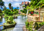 Besuchen Sie unbedingt den Botanischen Garten von Funchal auf der Blumeninsel Madeira.