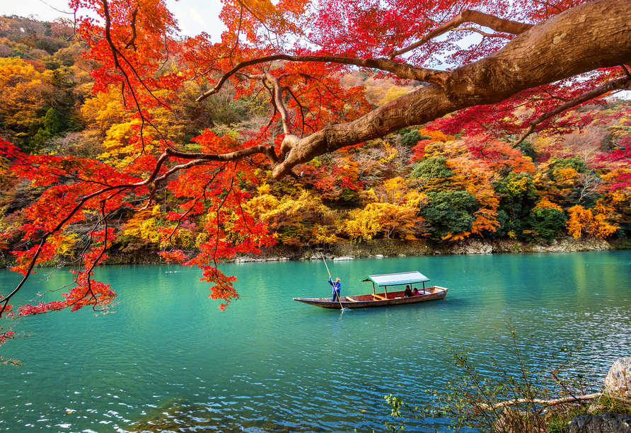 Insbesondere zur Zeit der Kirschblüte und Herbstlaubfärbung ist der Kameyama Park in Kyoto ein traumhaftes Ausflugsziel.