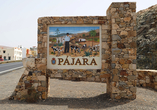 Auch ein Ausflug in die hübsche Stadt Pájara steht auf dem Programm.
