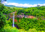 Wandern Sie zum spektakulären Charamel Wasserfall und lassen Sie sich von der tropischen Natur auf Mauritius verzaubern.