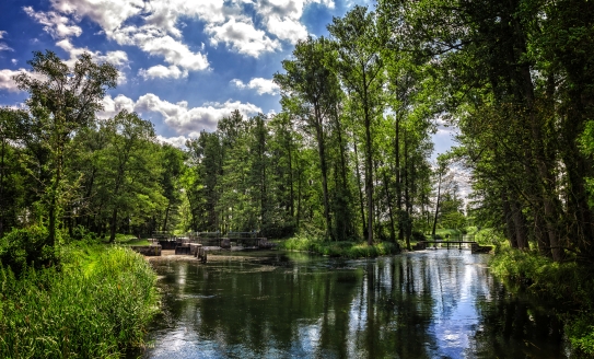 Herzlich willkommen im Spreewald!