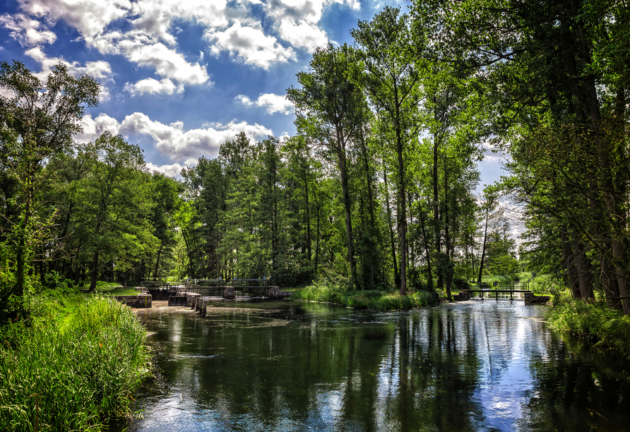Herzlich willkommen im Spreewald!