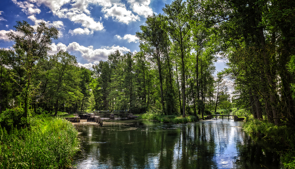 Herzlich willkommen im Spreewald!