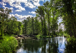 Herzlich willkommen im Spreewald!