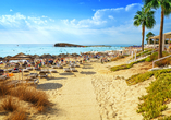In Ayia Napa erwartet Sie mit dem Nissi Beach der schönste Strand Zyperns.