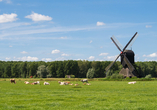 Idyllische Landschaft in Brabant