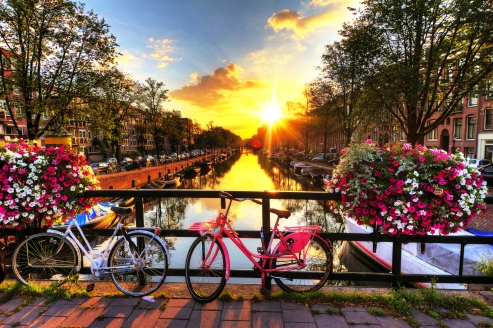 Willkommen im blühenden Amsterdam!