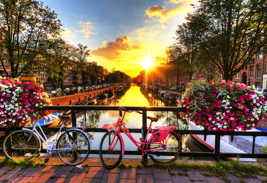 Willkommen im blühenden Amsterdam!
